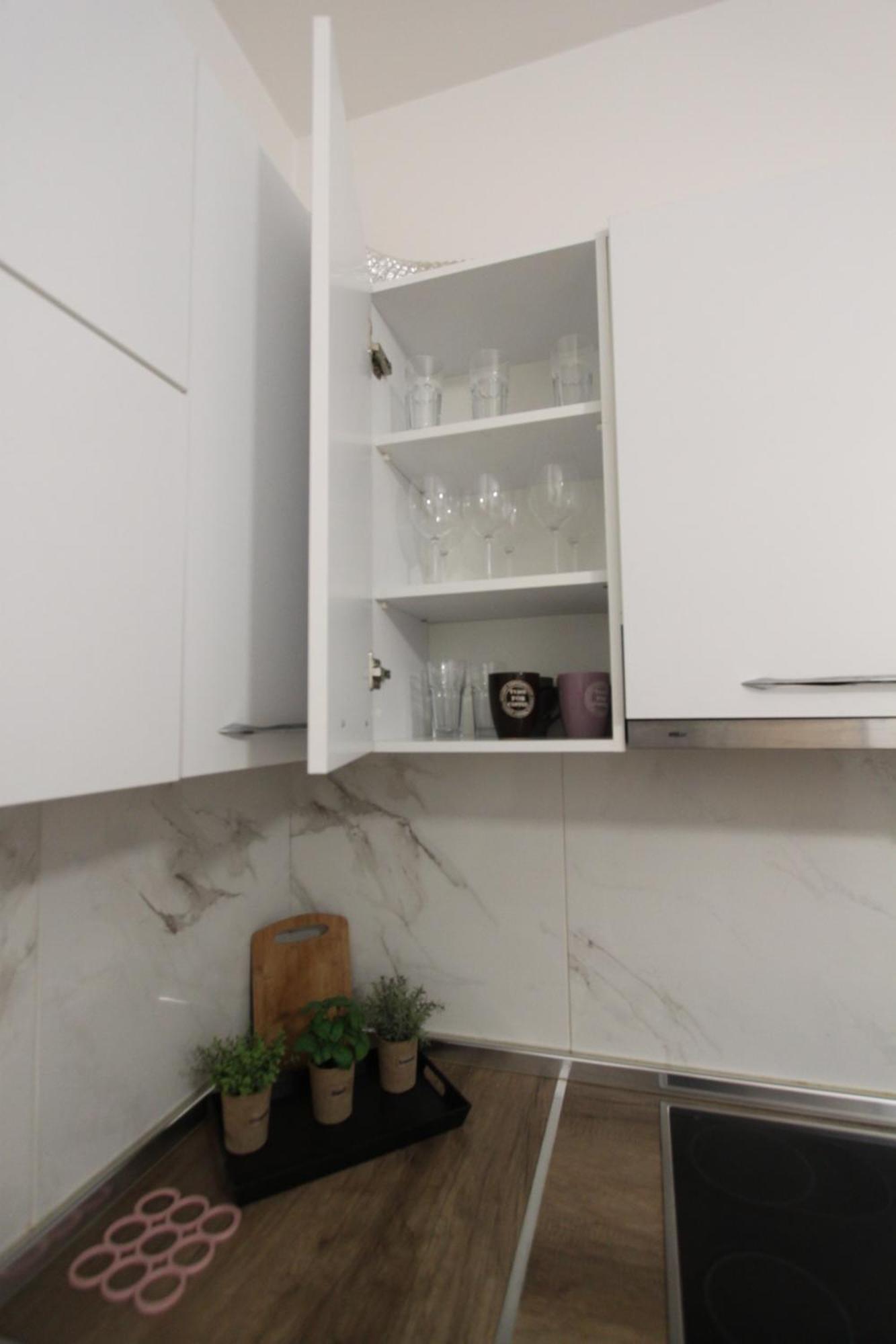 Alpha Modern Spacious